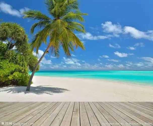 清凉一夏----寻找夏天的味道