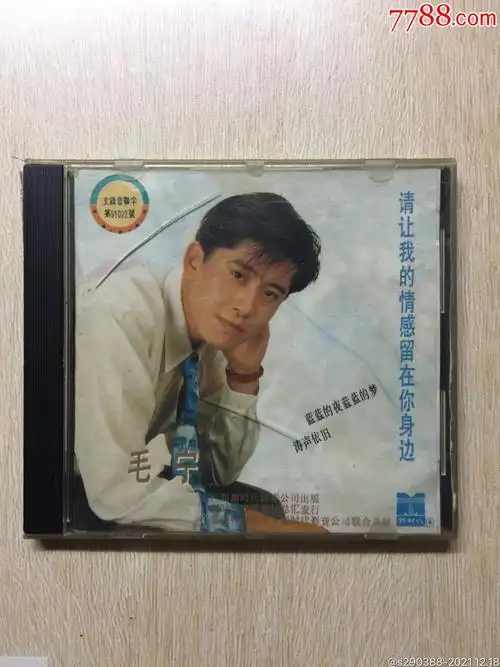 毛宁请让我的情感留在你身边