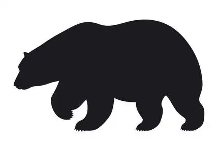 在白色的背景下,矢量图的剪影熊照片