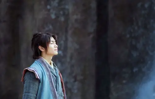 2015电视剧神雕侠侣 陈晓饰演杨过 cr.陈晓天涯粉丝团