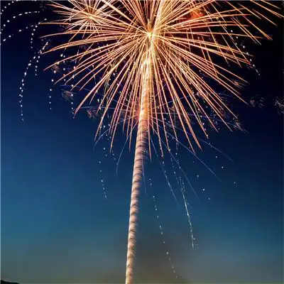 烟花头像唯美图片