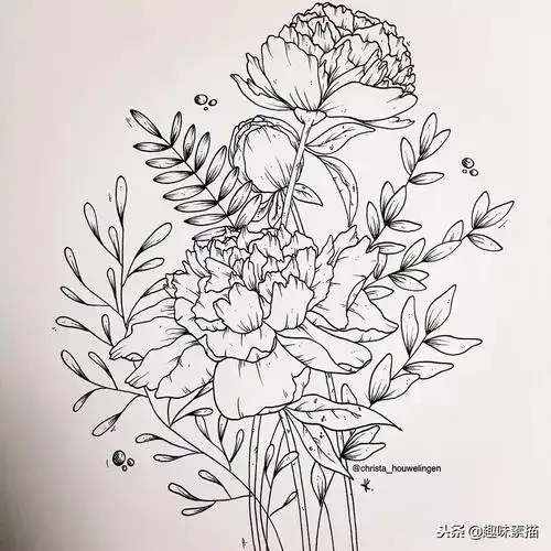 老师:总是埋怨线条画不好,这篇针管笔手绘很适合你入手