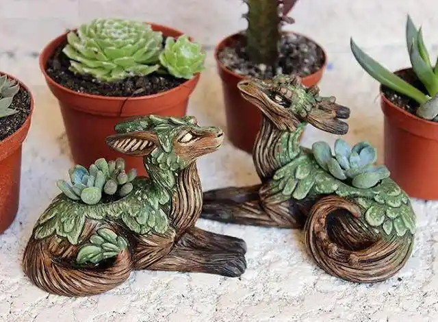 12张超级可爱的树龙摄影照