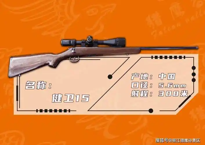 猎鹰谷射击俱乐部六大名枪巡礼_步枪_格洛克手枪_伯莱塔