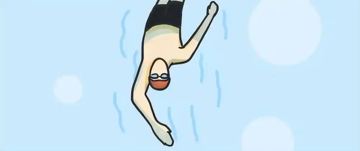 蝶泳:对上半身塑形有很大帮助身体姿势:头和躯干有时露出水面,有时