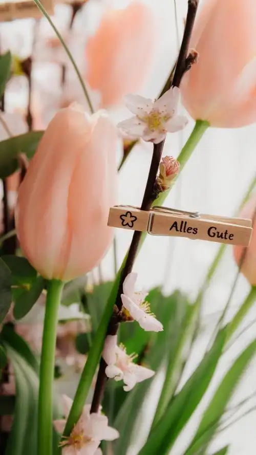 多彩的郁金香迷人风景,高清图片,手机壁纸