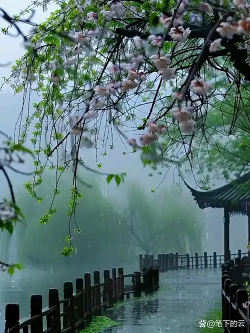 烟雨入江南山水如墨染