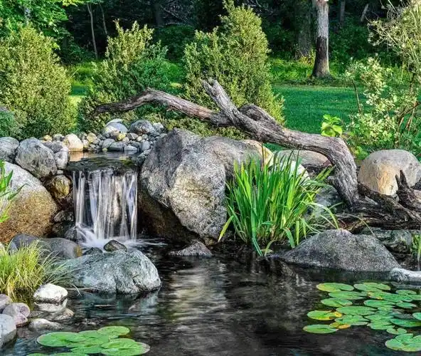 庭院的一汪水消解心头的暑意