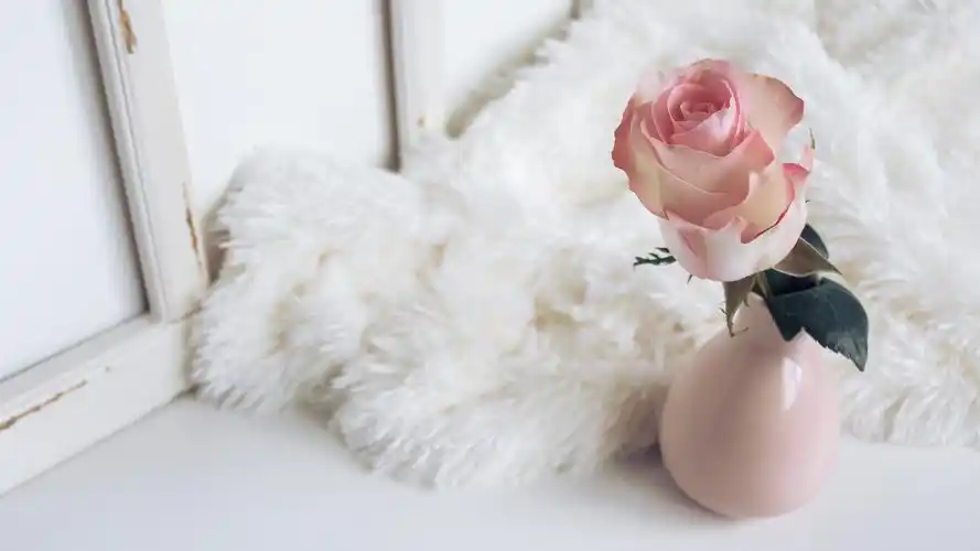 少女心壁纸【22】壁纸是一款电脑壁纸,属于小