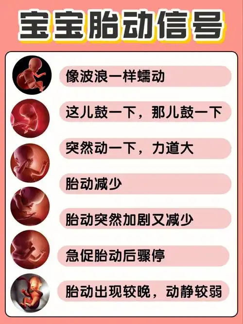 7815宝宝不同的胎动信号,孕妈都懂吗71