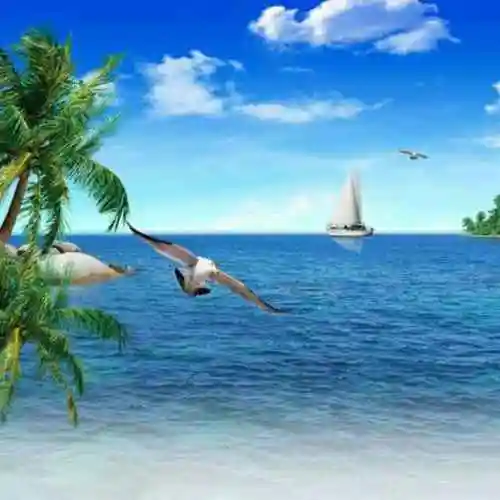 碧海蓝天l0头像