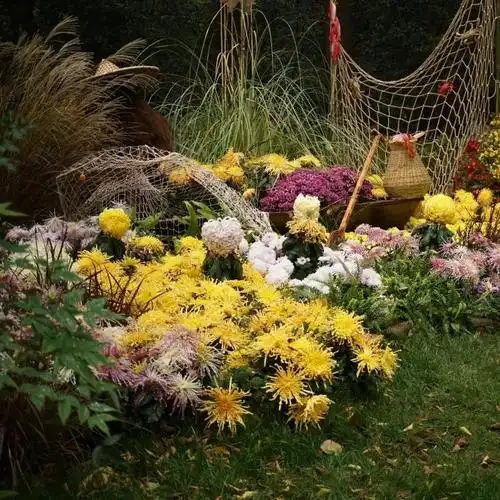 杭州植物园秋季花展(杭州植物园彼岸花展) - 上海苗木信息网