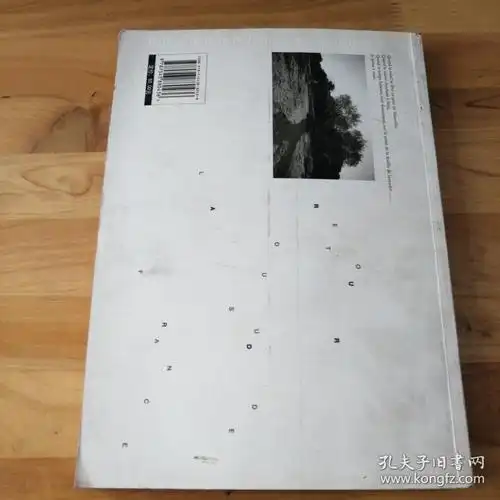 南法寄出_贺军翔 著_孔夫子旧书网