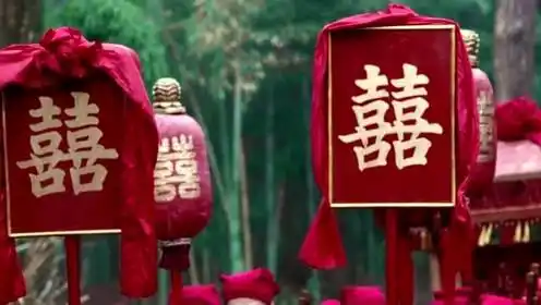 红衣进白衣出,一生只爱一个人,生生只记一人魂!