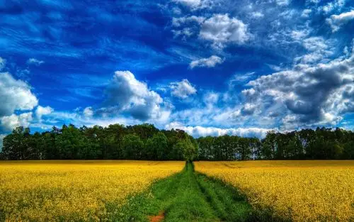 风景美图摄影桌面壁纸220