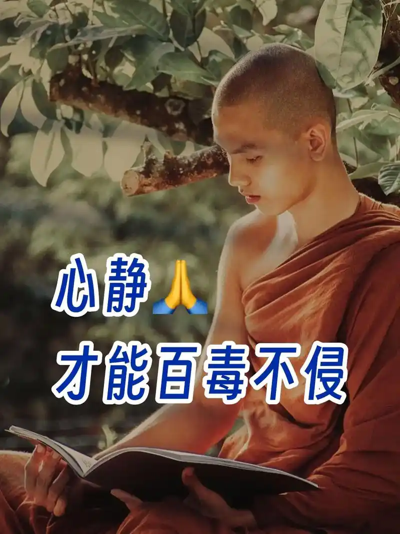 心静,才能百毒不侵.#禅悟人生 #修心修行 #国学文化 #心 - 抖音