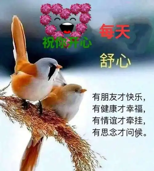 早安集锦2020.10.14