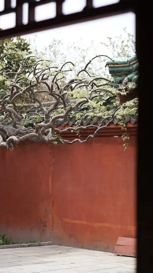 开封天波杨府古风建筑复古花卉壁纸宫墙