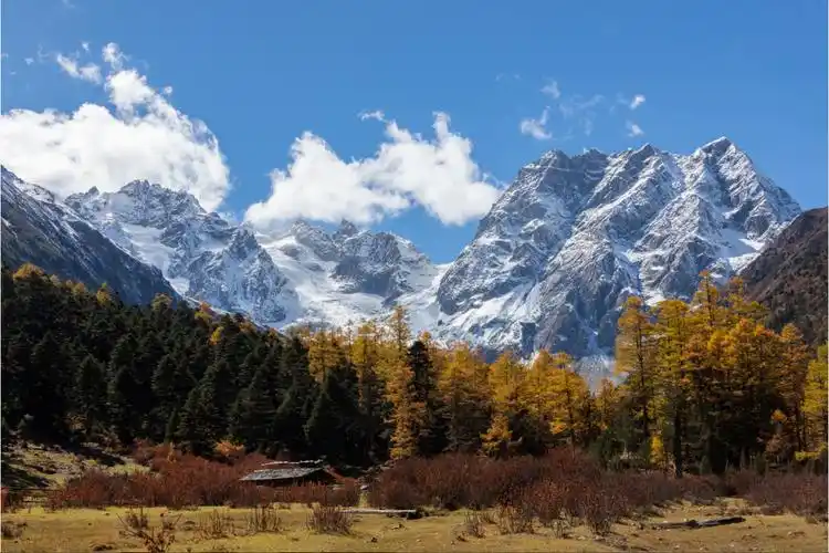 云南白马雪山国家级自然保护区