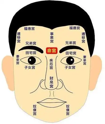 八字精批面相分析五行查询八字财运合婚婚姻走势轮回