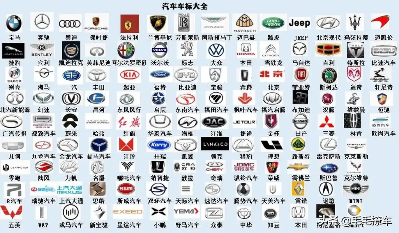 1自主品牌汽车标志 常见的奇瑞比亚迪帝豪吉利一汽荣威等多款车都是