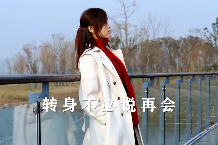 dj情歌转身不必说再会转身就是一辈子超好听