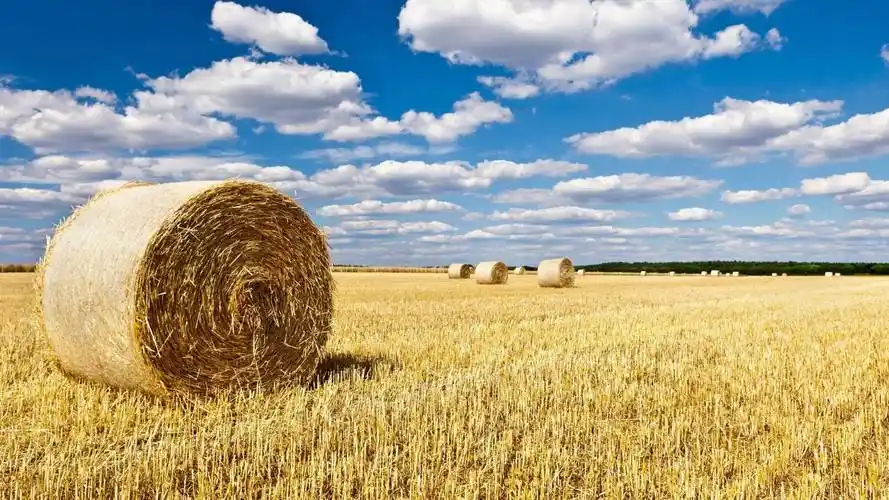 秋分,也是丰收的节日