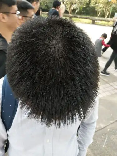 从我的头发以肉眼可见的速度变白开始,今年29岁,离30岁还差4个月.