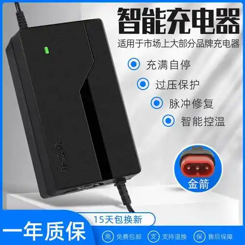 车电瓶充电器48v12ah60v20ah72vt孔通用通用三针专用接口电动车充电器