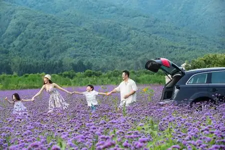 一家四口手牵手走在花海里