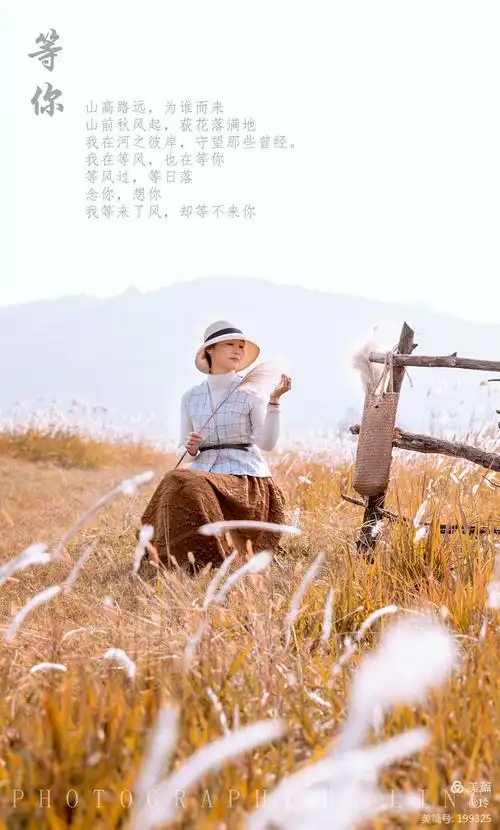 我等来了风,却等不来你