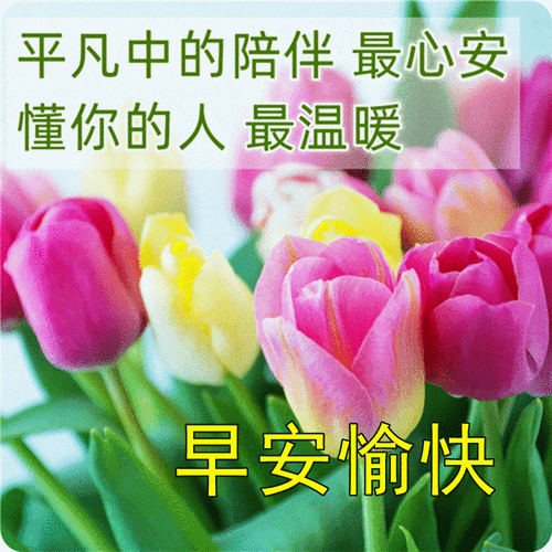 9张最新清新漂亮早上好图片带祝福语 冬日清晨早上好问候语温馨句子