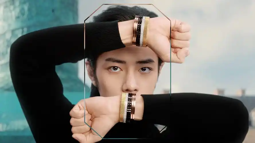 【肖战】240130 肖战出镜宝诗龙全新"icons世家标志"广告大片