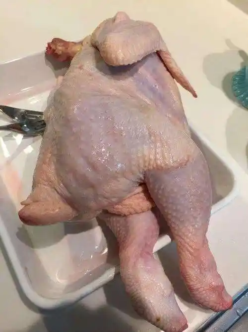 给拔了毛的鸡来几张美颜照片, 结果照片惊艳到我了!|163_手机网易网