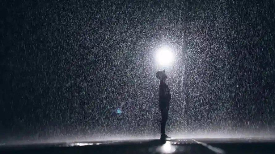 杨春兰:孤独的时候还可以淋雨_文学_创作_杂志