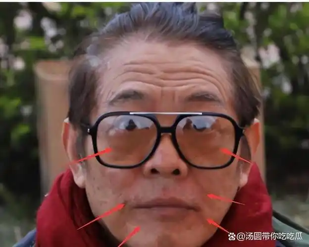 随后,李连杰选择与家人定居在国外,于2009年正式加入新加坡国籍.