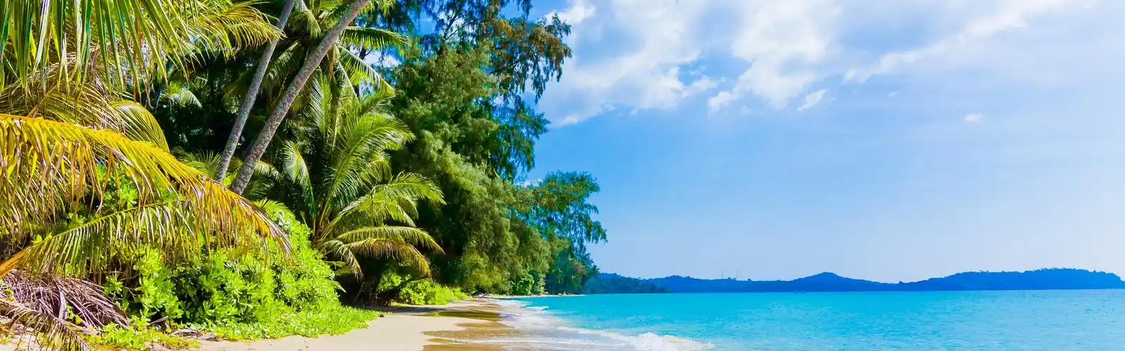 海滩,棕榈树,蓝色的大海,天空,云彩,热带 壁纸