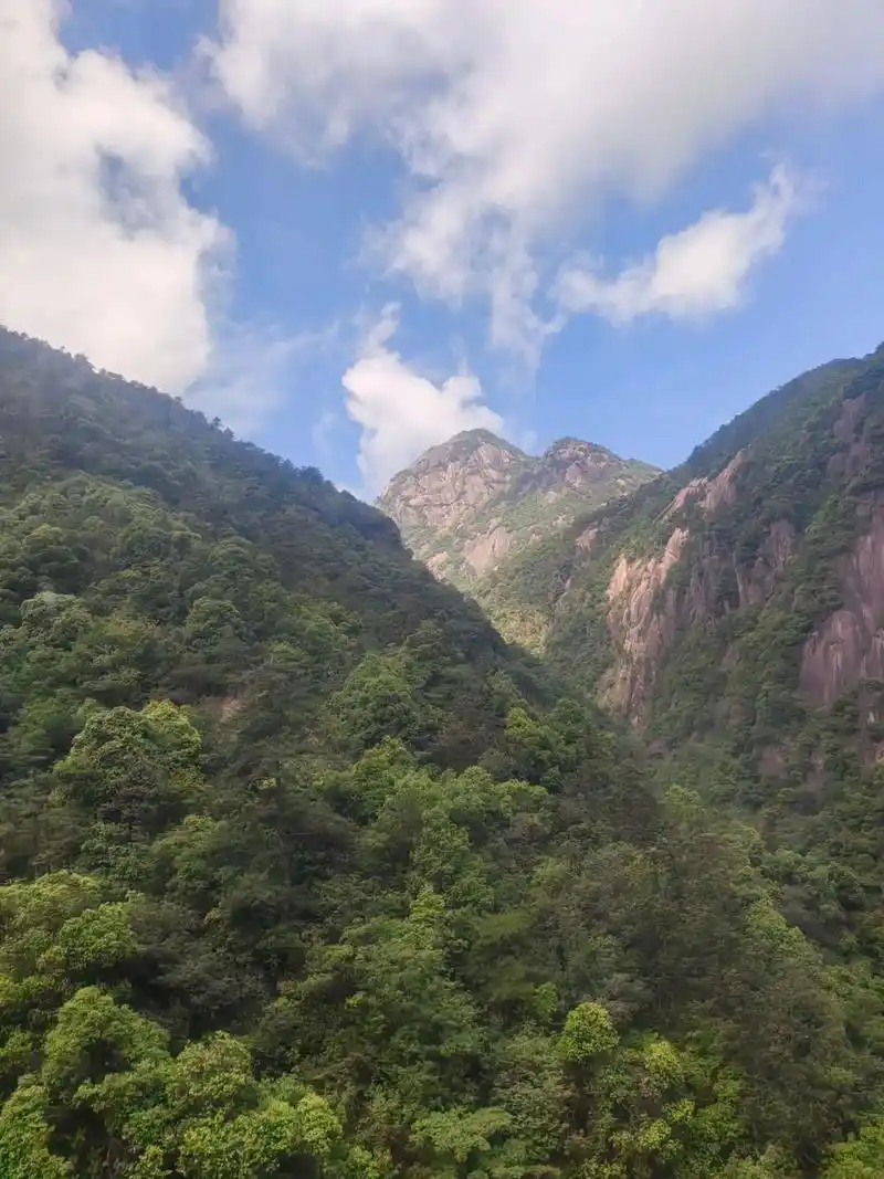 与很多年属虎的,月份属虎的,或者是日子属虎的,时辰属虎的打过交道