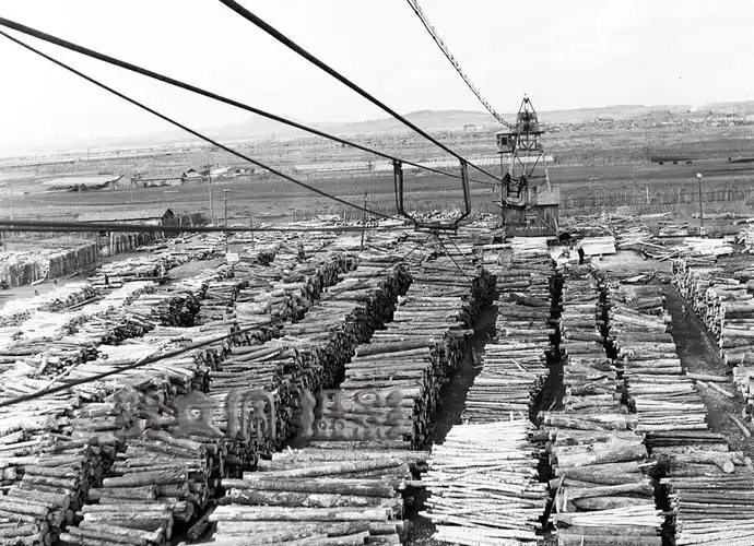 双子河贮木场索带传递木材,分类归楞.