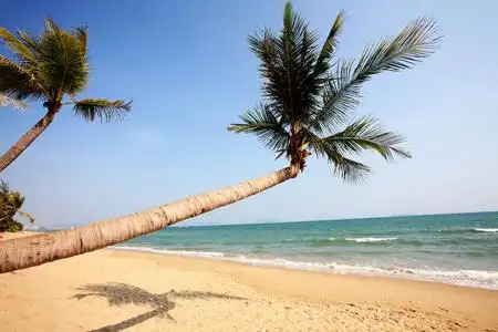 树与热带沙滩观覆盖着草和棕榈树与云的夏天蓝色天空下海边的椰子树