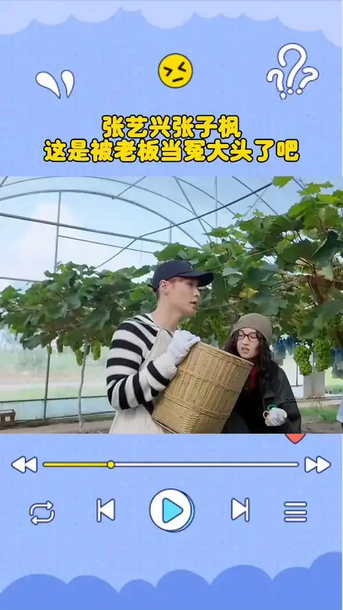 张艺兴张子枫听到阳光玫瑰16元一斤直接傻眼