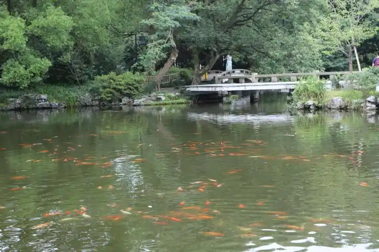 花港观鱼,第三个景点