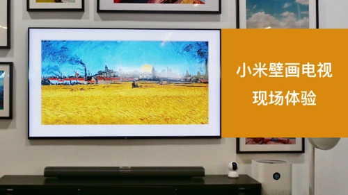 小米壁画电视现场体验无缝贴墙内置小爱同学售价6999