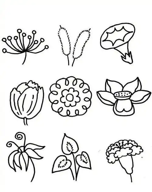 简笔画花草树叶