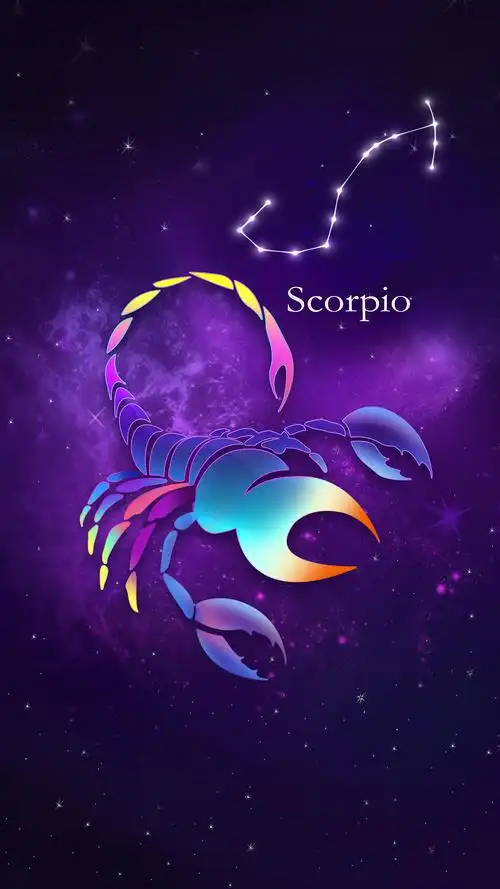 十二星座壁纸插画