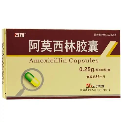 石药 阿莫西林胶囊 0.25g*30s