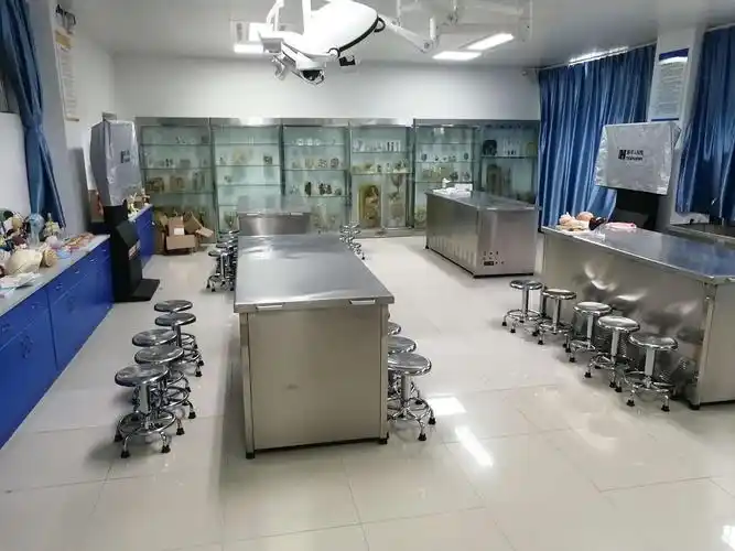 人体解剖学实验室:全录播系统结合易创数字人,虚拟人体解剖先进多媒体