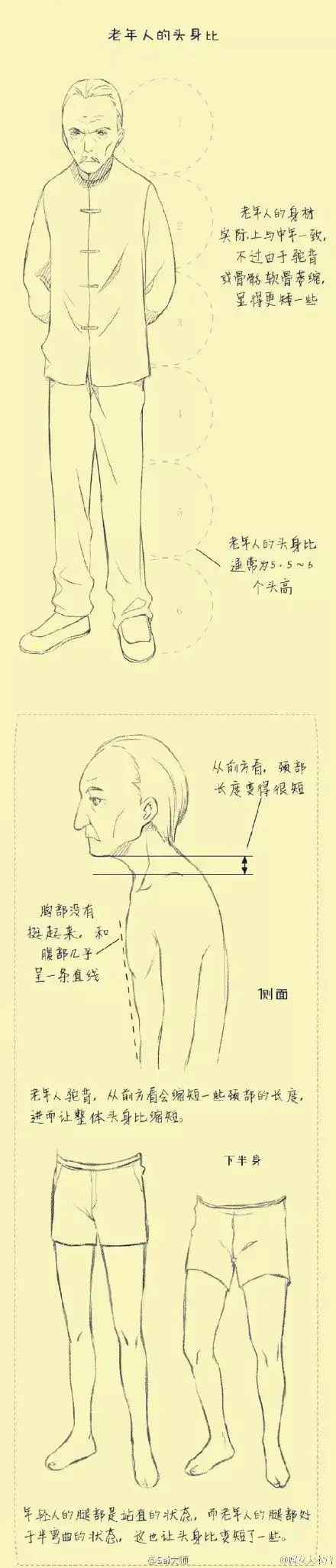 老年人的头身比