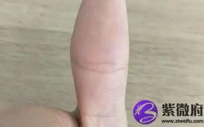 假夫子眼纹手相好不好代表什么意思