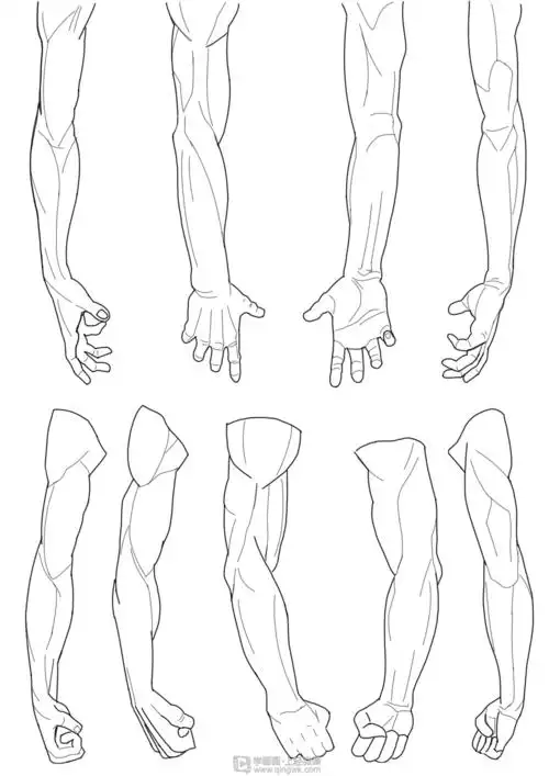 作业:如何学动漫插画之手臂的画法与训练技巧 - rh-14-163认真学习的